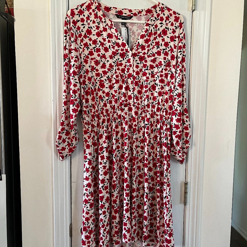 41 Hawthorn Shirt Dress